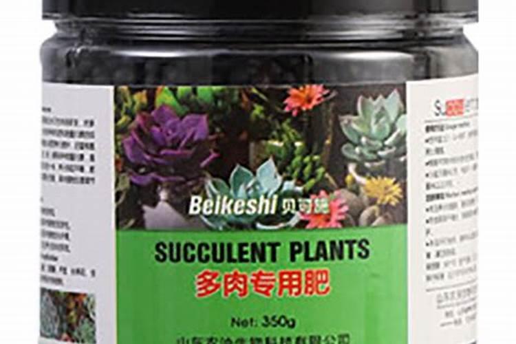 多肉必须施专用肥吗为什么？