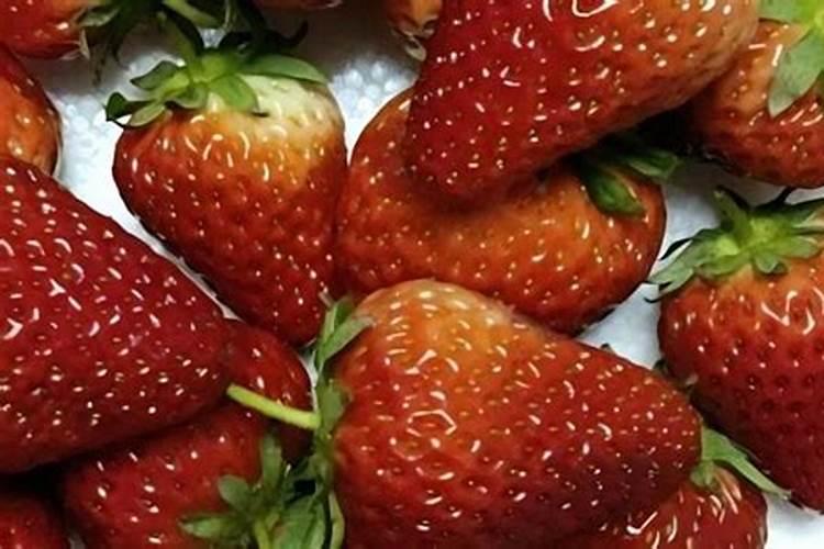 草莓用什么含量水溶肥最好？