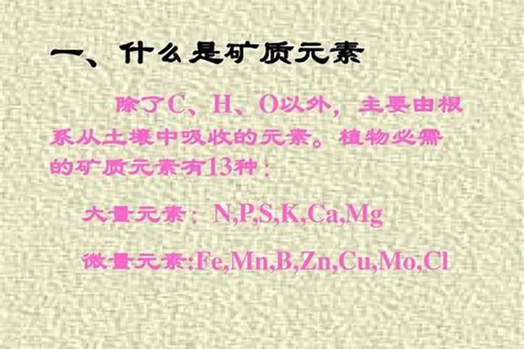 矿质元素是什么？