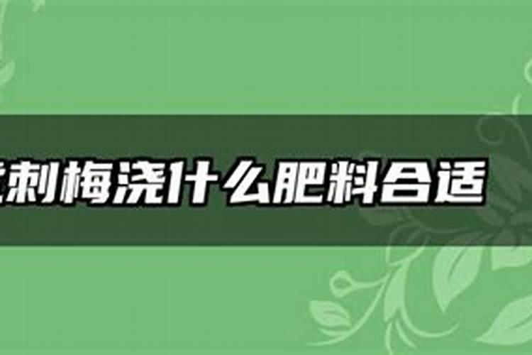 虎刺梅浇什么肥料合适