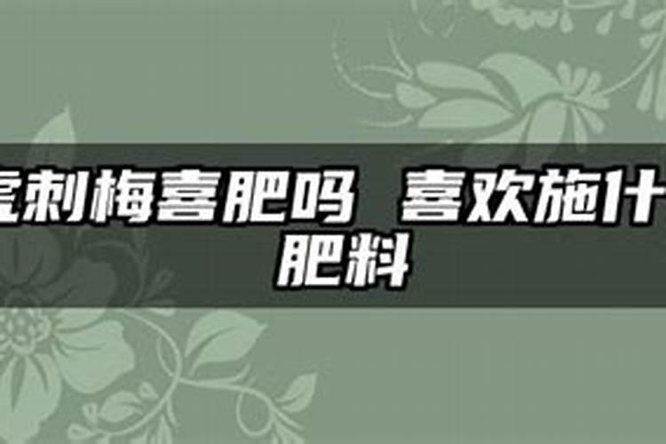 虎刺梅喜肥吗 喜欢施什么肥料