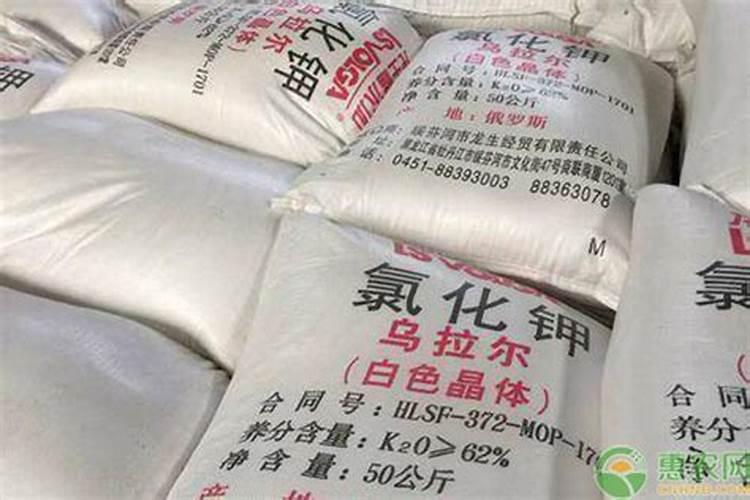 茉莉花怎么用氮磷钾肥最好用？