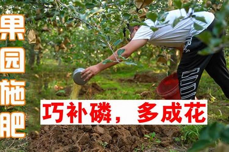 土里磷肥太多适合栽花吗？