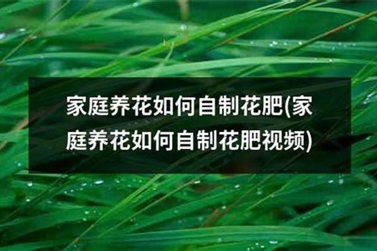 家庭养花如何自制花肥？