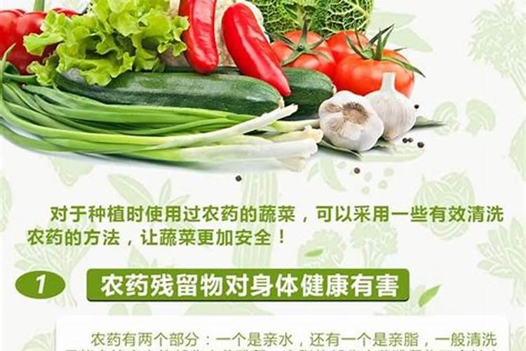 如何识别有农药残留农药激素催长过的蔬菜