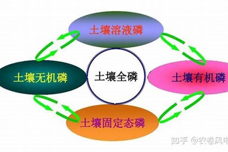 速效磷和有效磷的区别