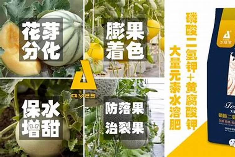 水溶肥使用禁忌
