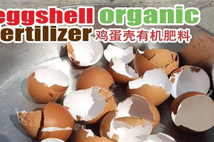 鸡蛋皮可以当肥料吗