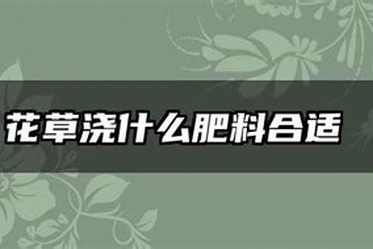 花草浇什么肥料合适