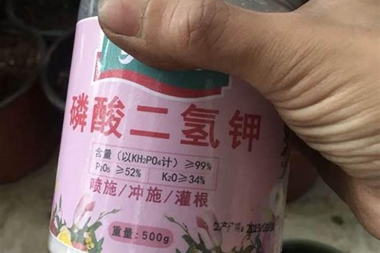 什么时候上磷钾肥最好？