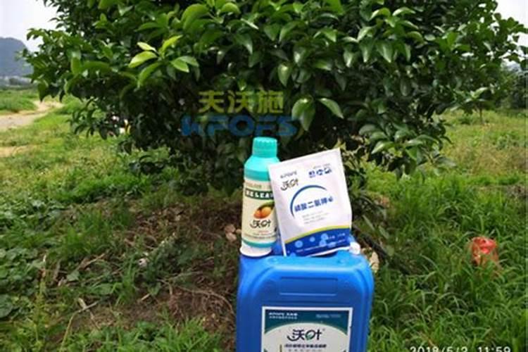 水溶肥给果树上的时候什么时候好