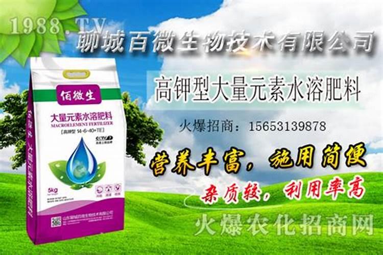 植物开花期磷肥多少天用一次最好？