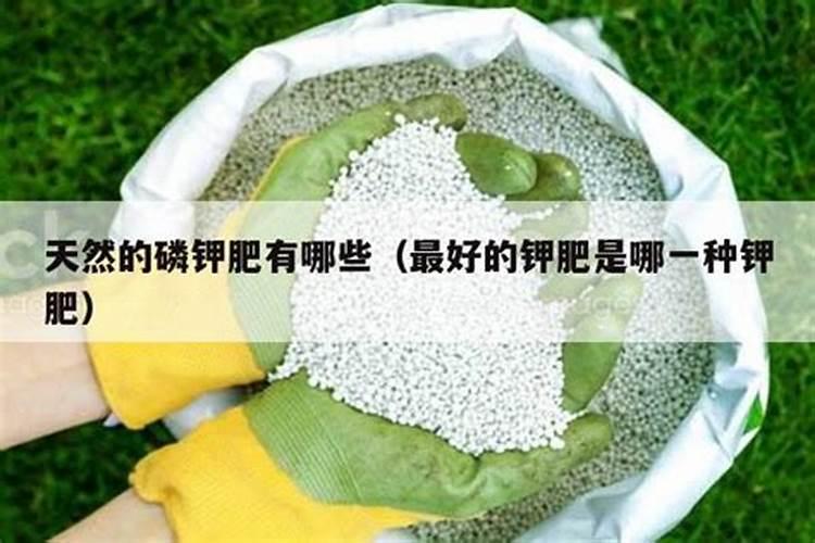 番茄施哪种磷钾肥最好？