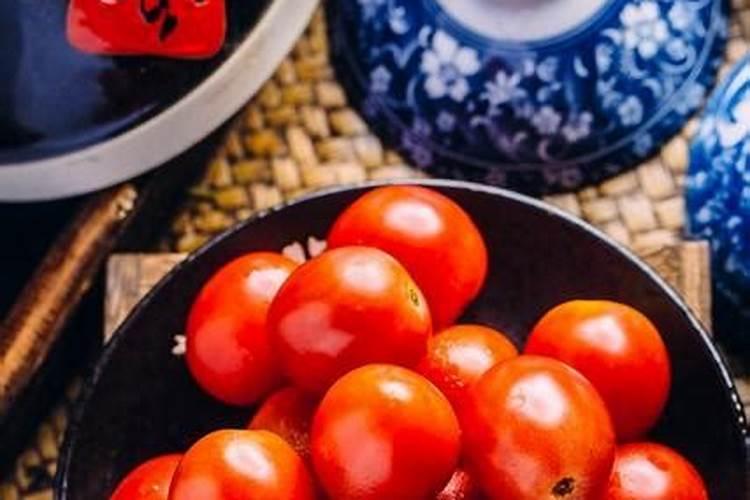 栽西红柿用什么肥料最好