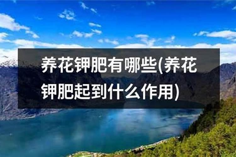 养的花需要钾肥吗为什么？
