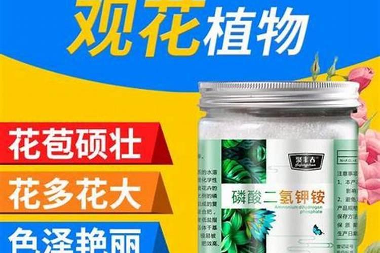 分享养花必备的三种肥料