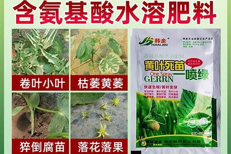 水溶肥加什么肥一块施肥效果好？