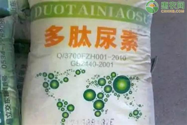 什么是多肽尿素？多肽尿素如何使用？