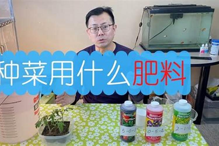 种菜用什么化肥最好