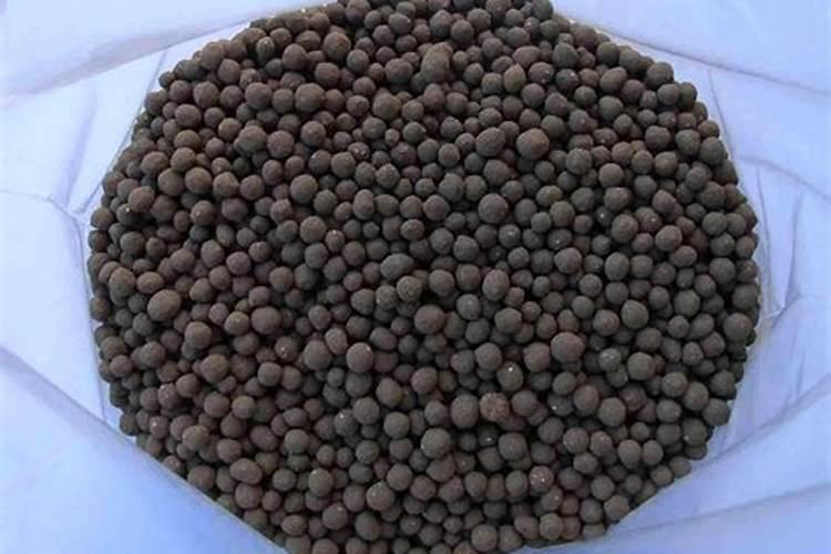 柑橘怎么使用磷肥最好用？