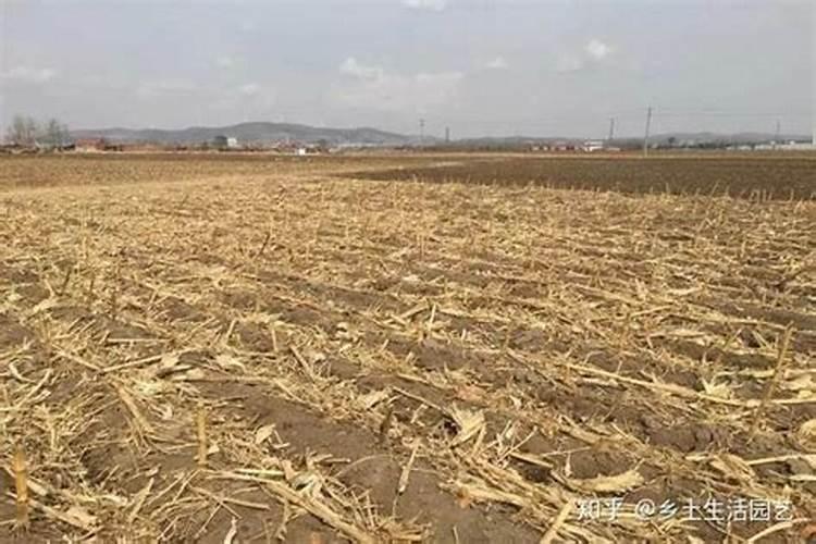 玉米田秸秆还田后,还用施钾肥吗？？？