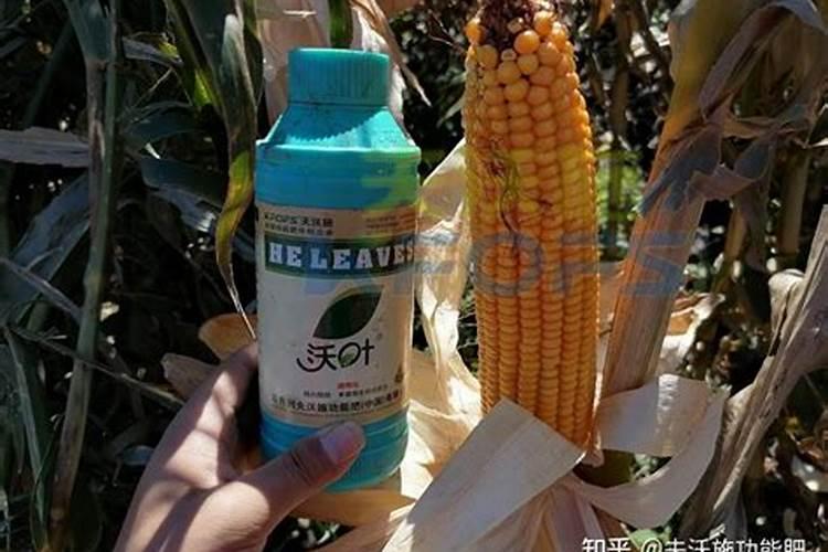 什么样的叶面肥效果好用？