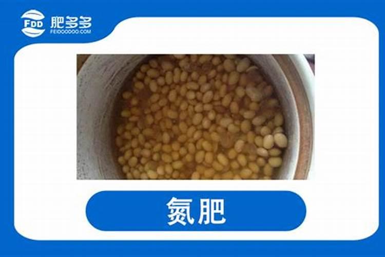 豆类发酵是氮肥吗为什么？