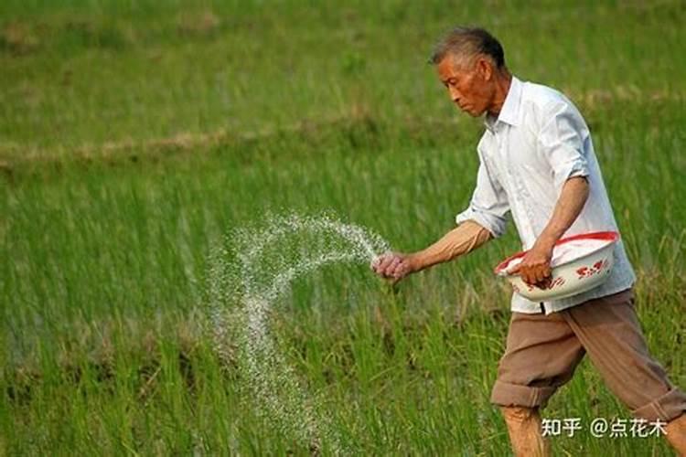 在家庭环境里,什么东西属于氮肥