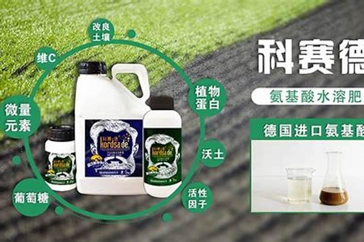 哪里出售硝酸钾水溶肥呢？