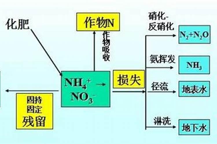 氮肥利用率高于磷肥的原因有哪些？