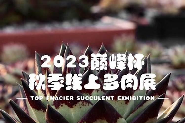 多肉多久浇一次速效氮肥合适？