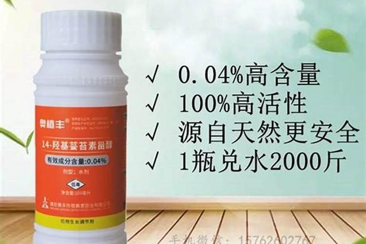 养多肉用哪种芸苔素最好用？