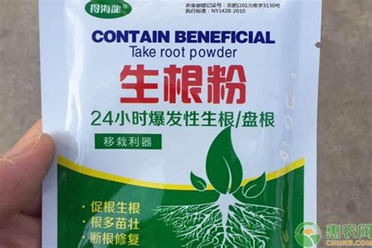 种花的生根粉怎么用肥料代替？