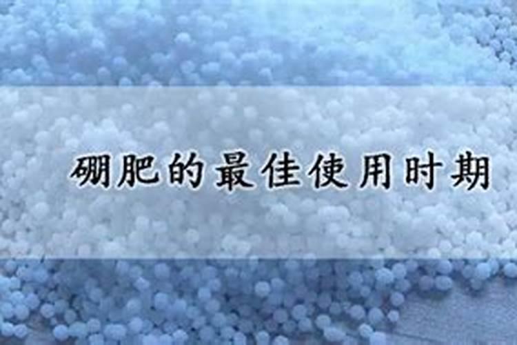 油菜硼肥的最佳使用时期和用量
