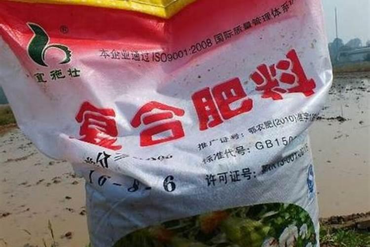 玉米底肥用什么含量的肥料好