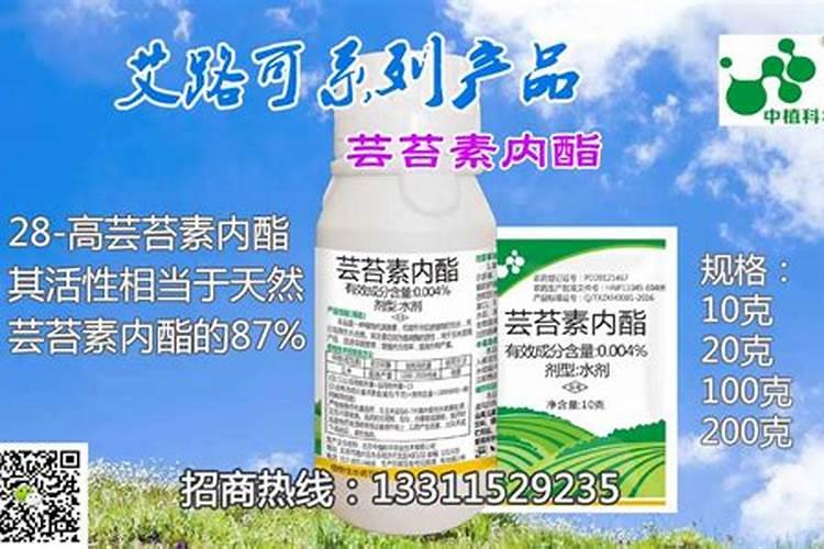 多菌灵与芸苔素内酯可以一起喷洒玉米吗