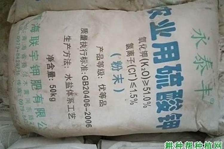 缺乏钾肥会怎么样呢？