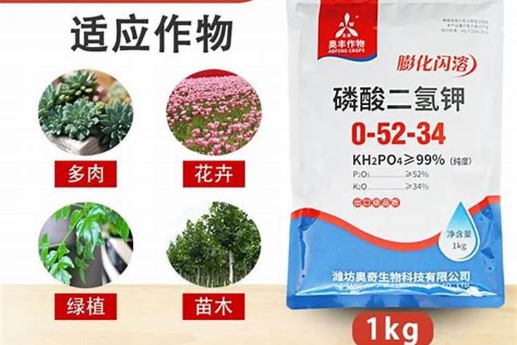 磷钾肥怎么补充营养？