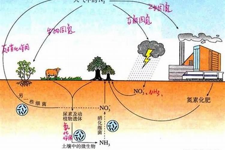 天然气是怎么变成氮肥的原理？