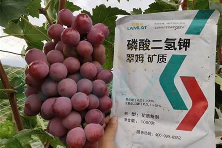 葡萄开花前施什么肥料
