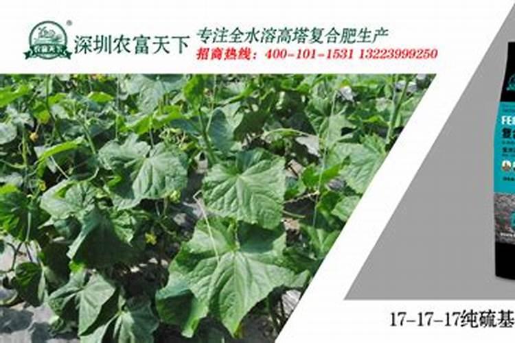 苗期用平衡肥怎么样施肥好？