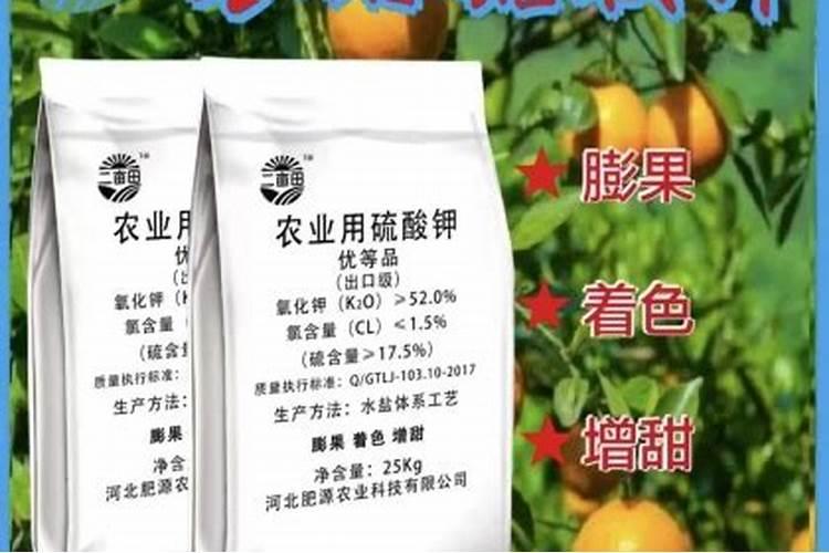 柑橘专用钾肥多少钱一斤？