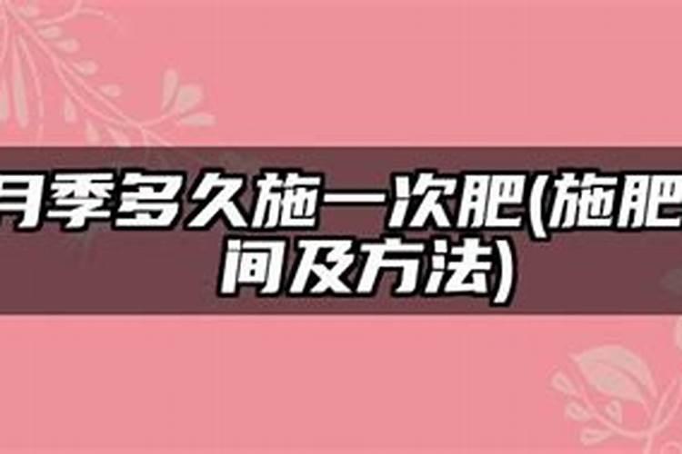 月季多久施一次肥 施肥时间及方法