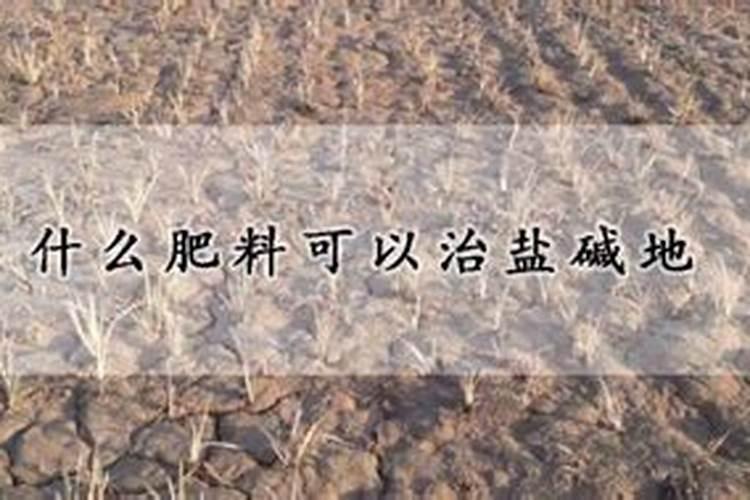 什么肥料可以治盐碱地