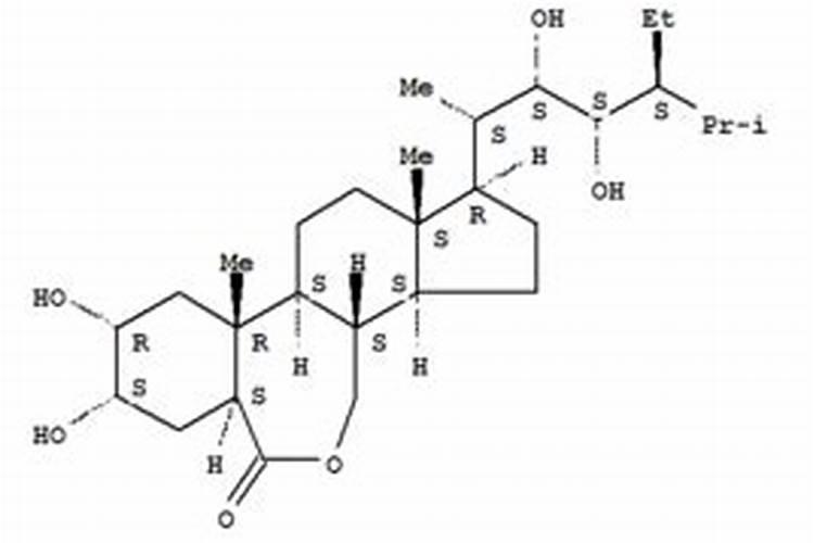 天然芸苔素内酯1.概述