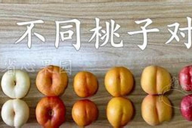 种桃什么时候放钾肥最好呢？